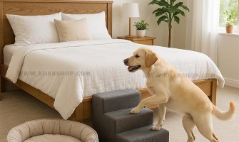 همه چیز در رابطه با تشک و پله سگ