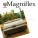 تشک مگنی فلکس Magniflex
