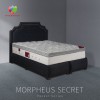 تشک مونسا Monessa مدل MORPHEUS SECRET سایز 140*200